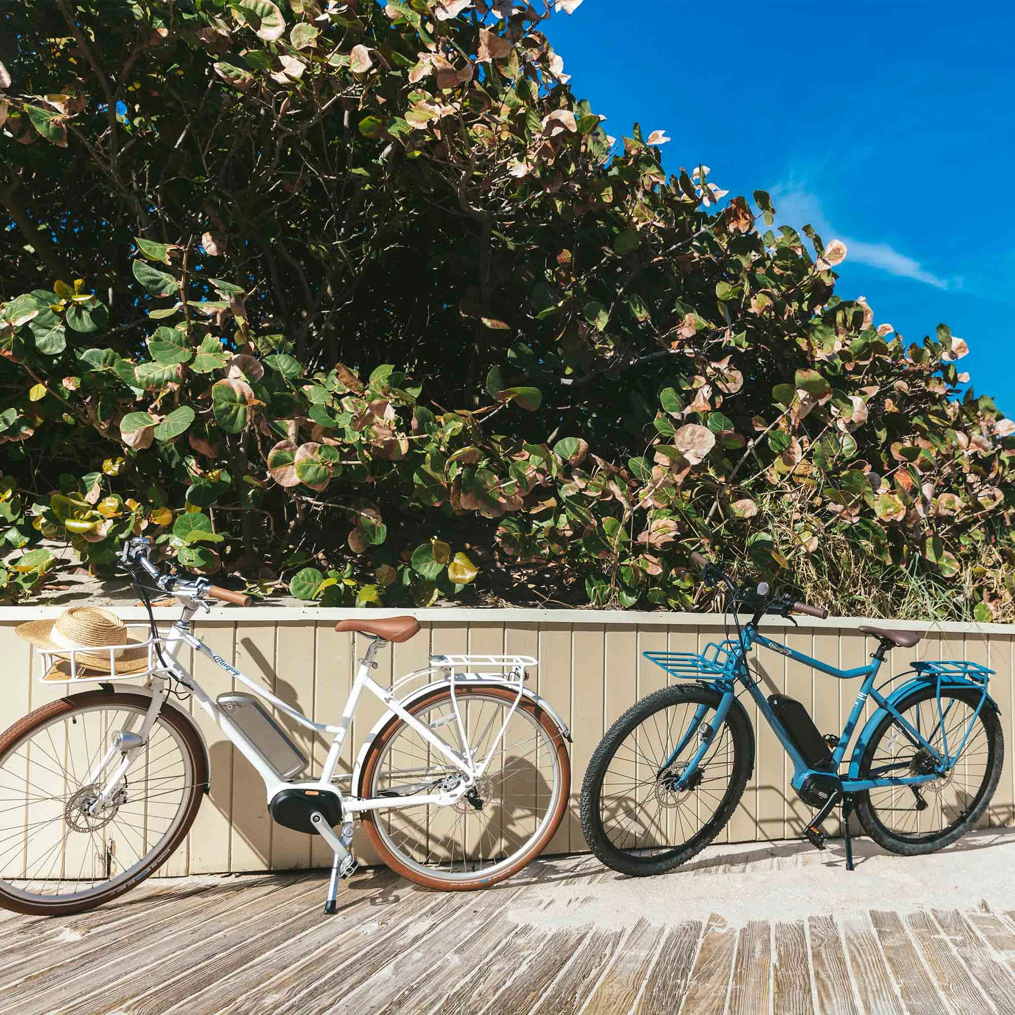 Bluejay Sport - Bluejay Blue Electric Bike