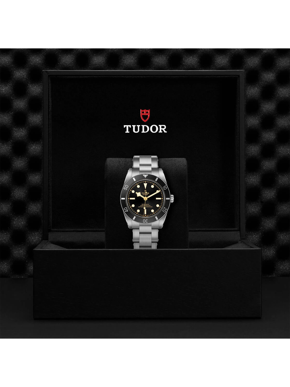 TUDOR Black Bay 54 Watch 37mm M79000N-0001