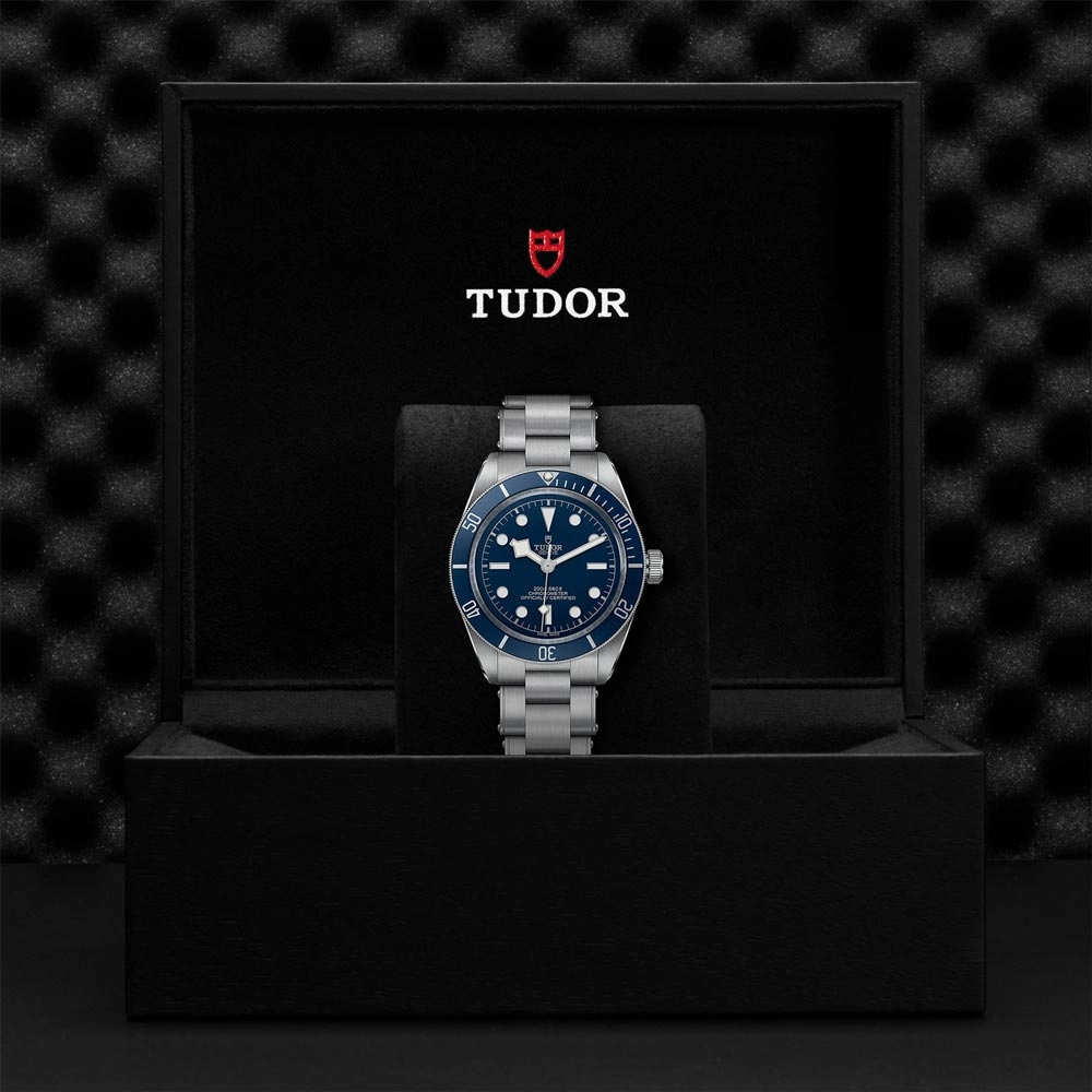 TUDOR Black Bay 58 39mm Blue Dial Gents Watch M79030B-0001