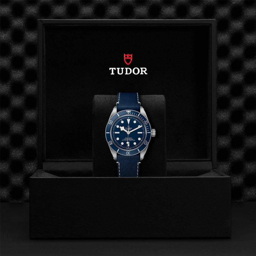 TUDOR Black Bay 58 39mm Blue Dial Gents Watch M79030B-0002