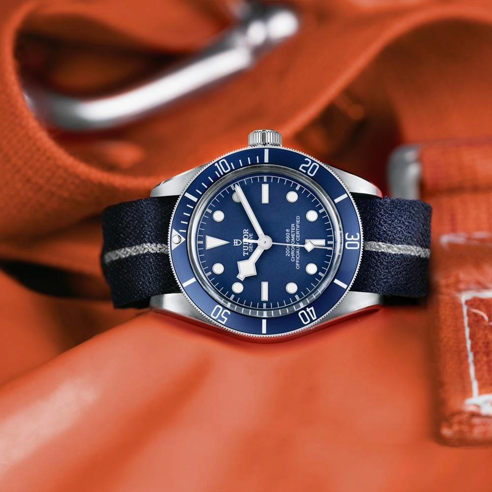 TUDOR Black Bay 58 39mm Blue Dial Gents Watch M79030B-0003
