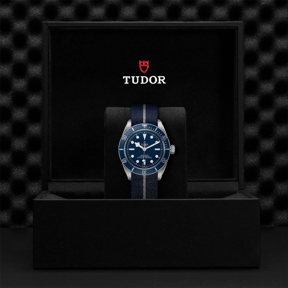 TUDOR Black Bay 58 39mm Blue Dial Gents Watch M79030B-0003