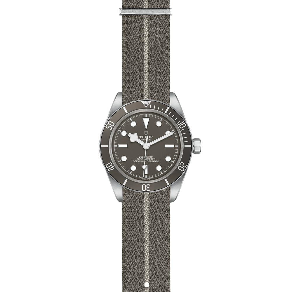 TUDOR Black Bay 58 925 Silver 39mm Taupe Dial Watch M79010SG-0002