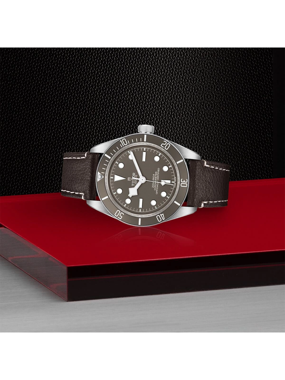 TUDOR Black Bay 58 925 Watch 39mm M79010SG-0001