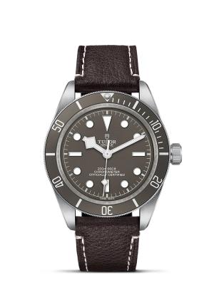 TUDOR Black Bay 58 925 Watch 39mm M79010SG-0001