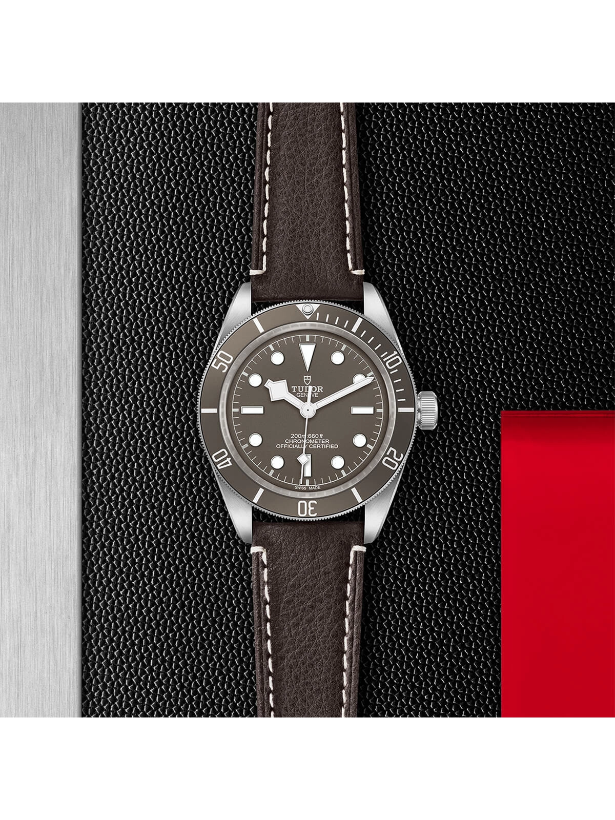 TUDOR Black Bay 58 925 Watch 39mm M79010SG-0001