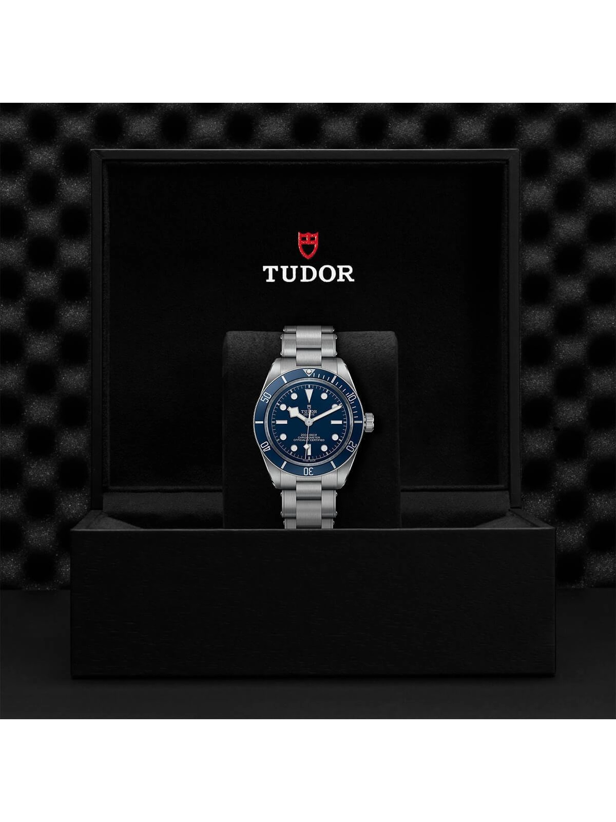TUDOR Black Bay 58 "Navy Blue" Watch 39mm M79030B-0001