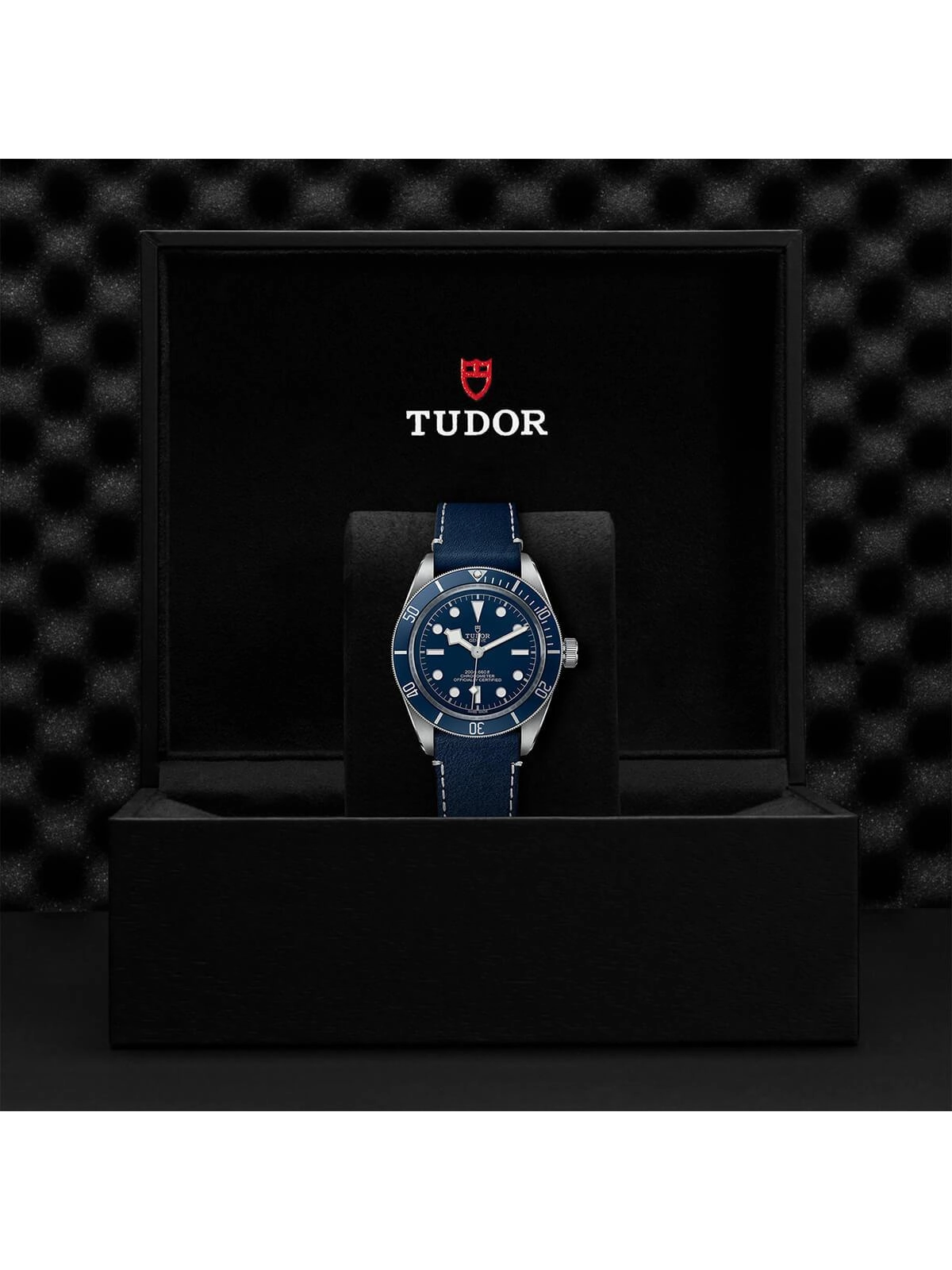 TUDOR Black Bay 58 "Navy Blue" Watch 39mm M79030B-0002