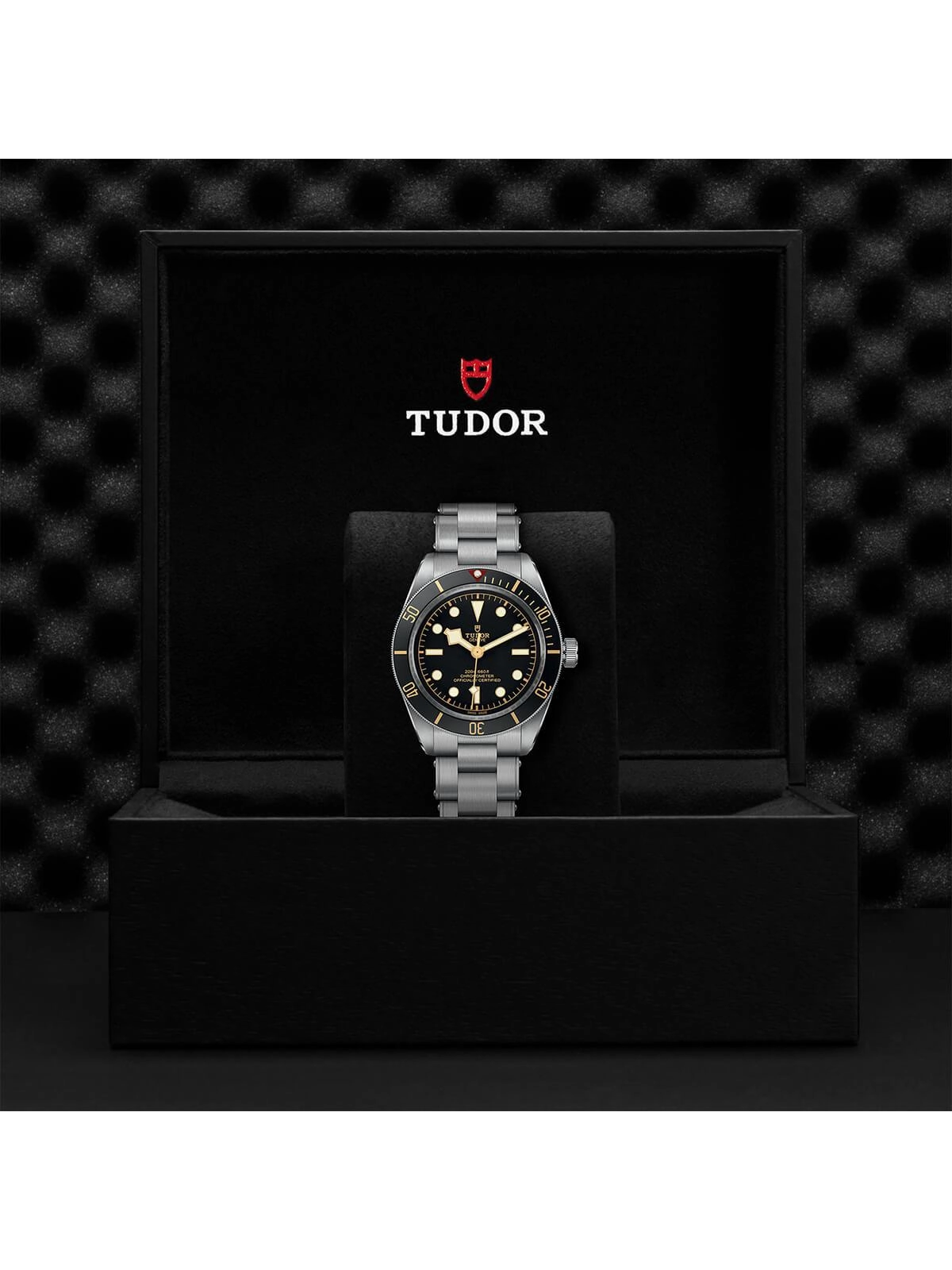 TUDOR Black Bay 58 Watch 39mm M79030N-0001