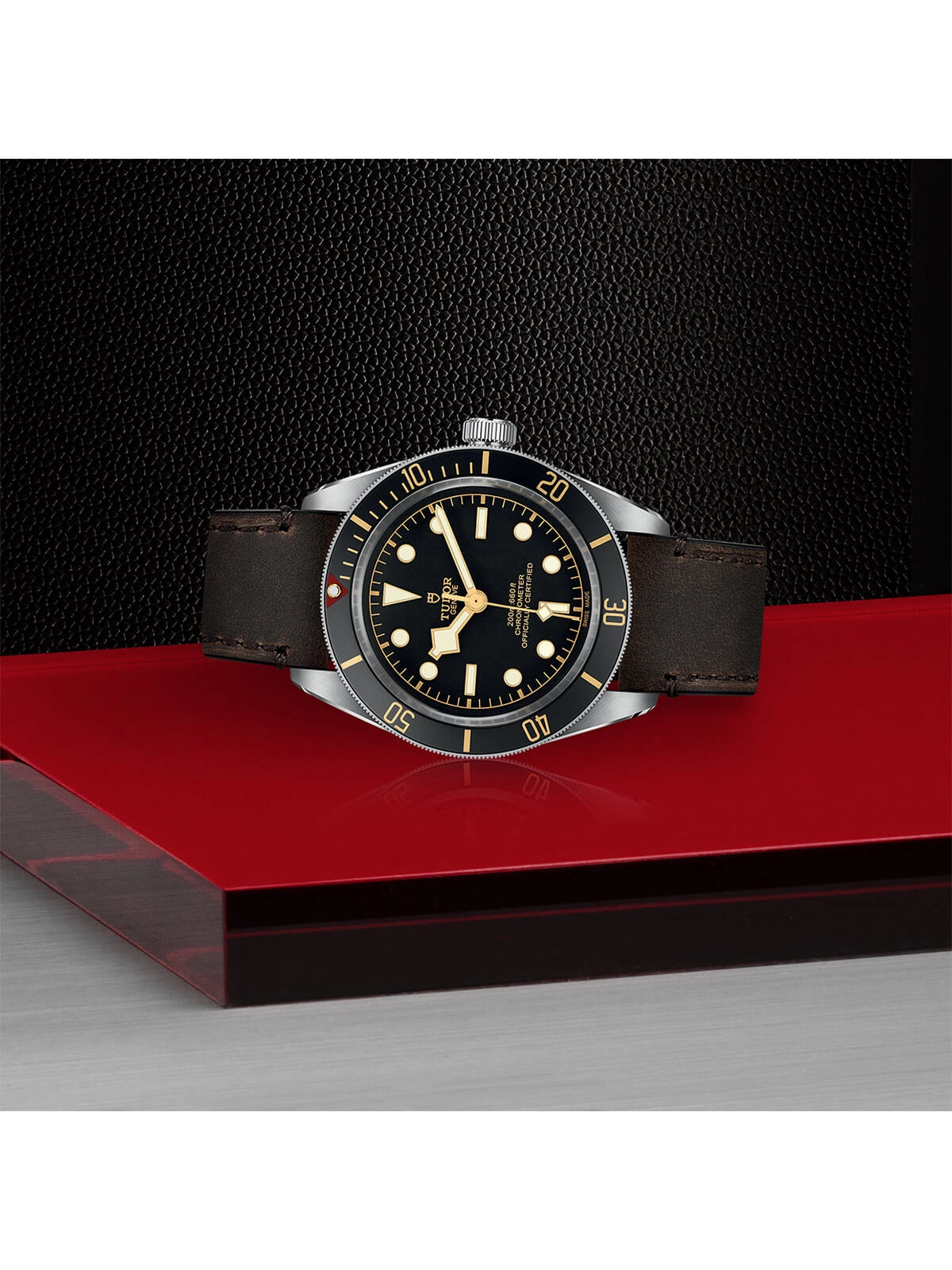 TUDOR Black Bay 58 Watch 39mm M79030N-0002
