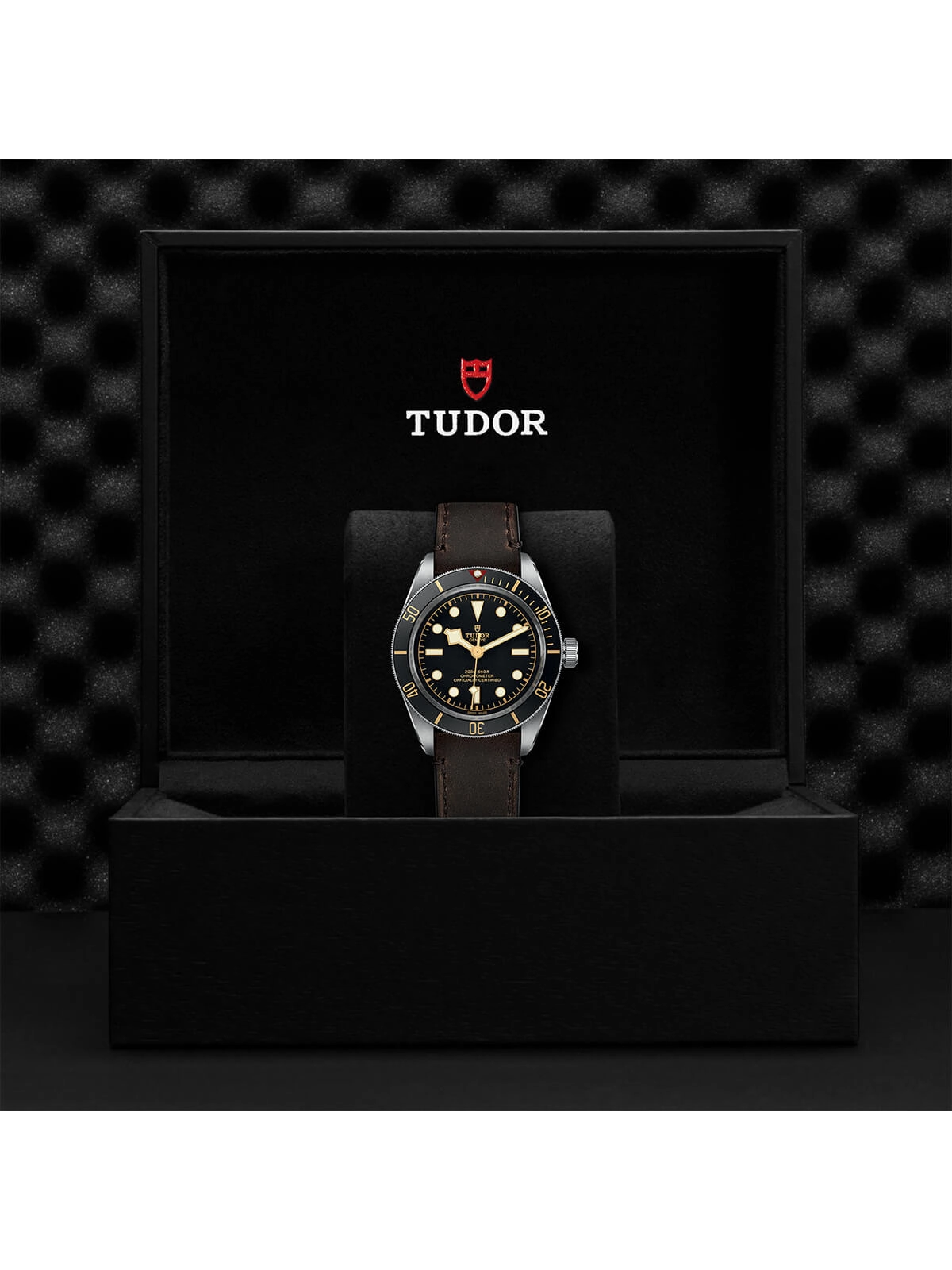 TUDOR Black Bay 58 Watch 39mm M79030N-0002