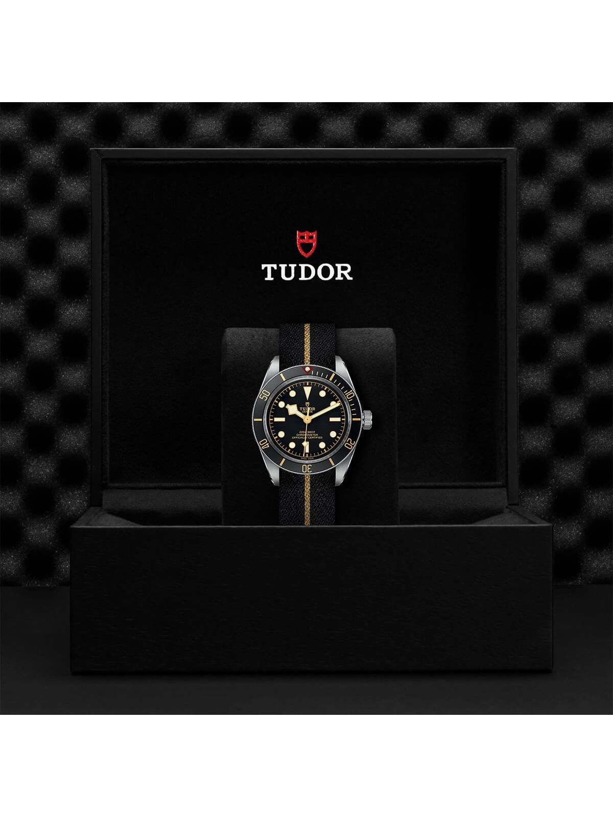 TUDOR Black Bay 58 Watch 39mm M79030N-0003