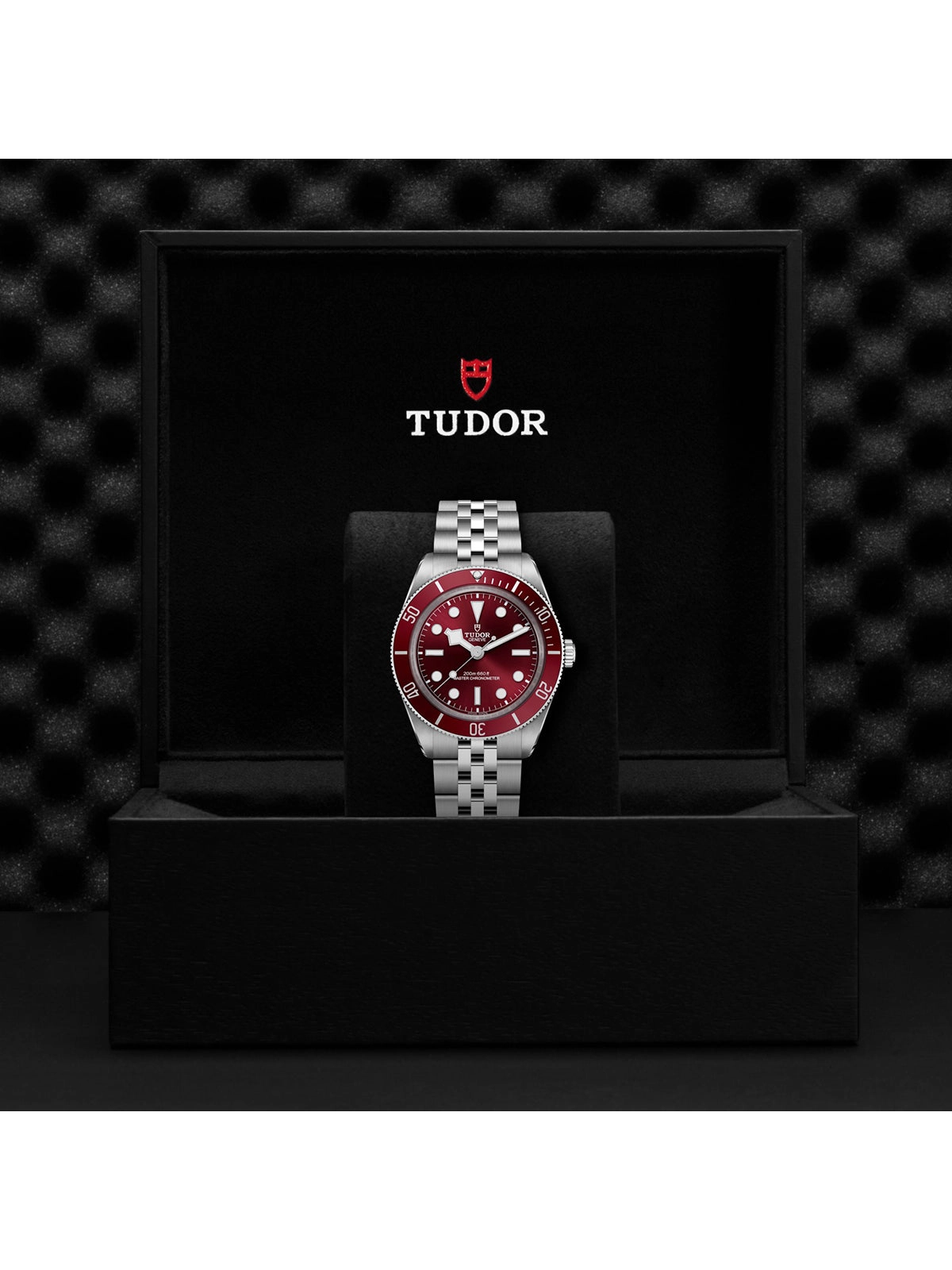 TUDOR Black Bay 58 Watch 39mm M7939A1A0RU-0001