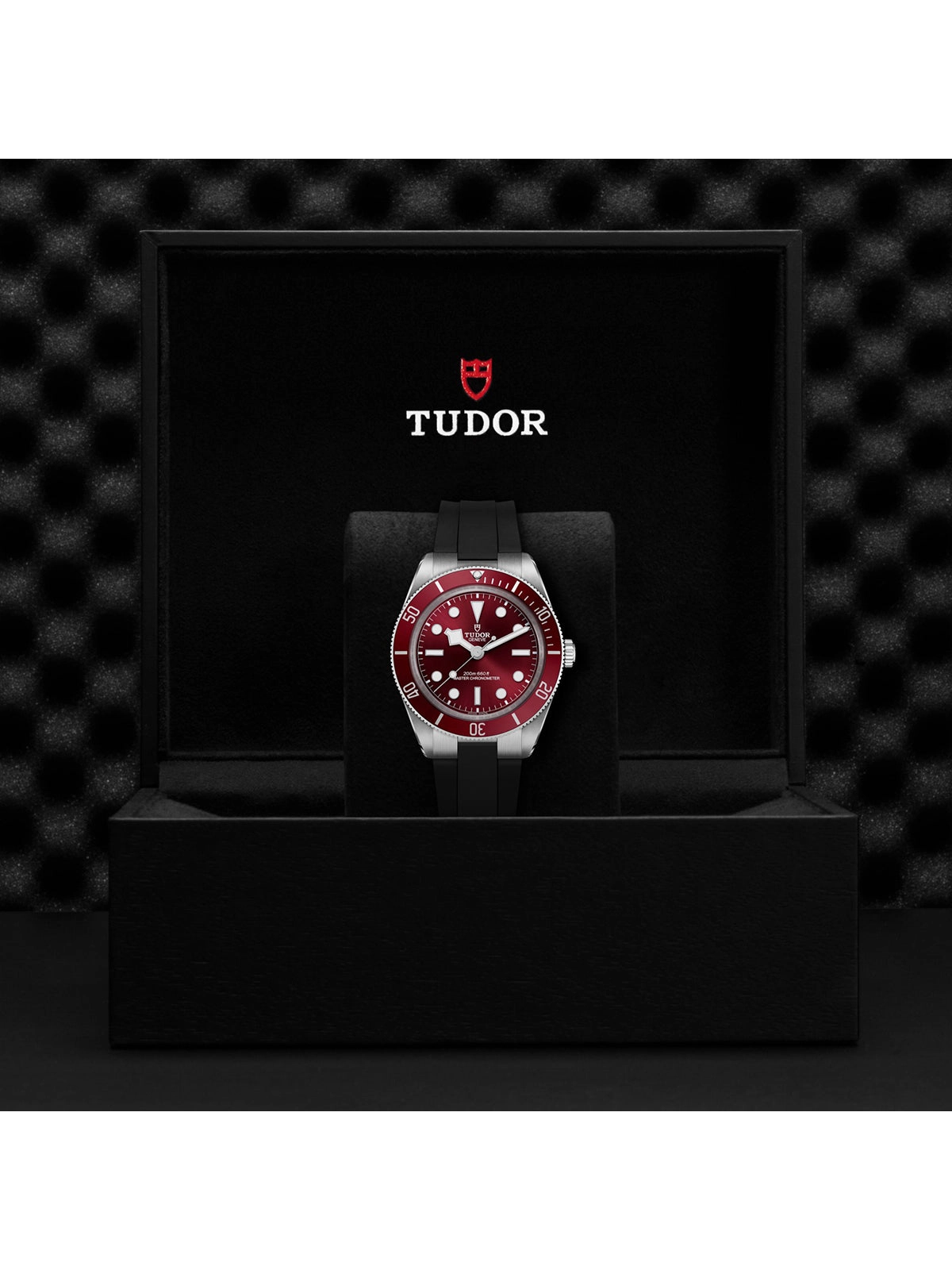TUDOR Black Bay 58 Watch 39mm M7939A1A0RU-0003