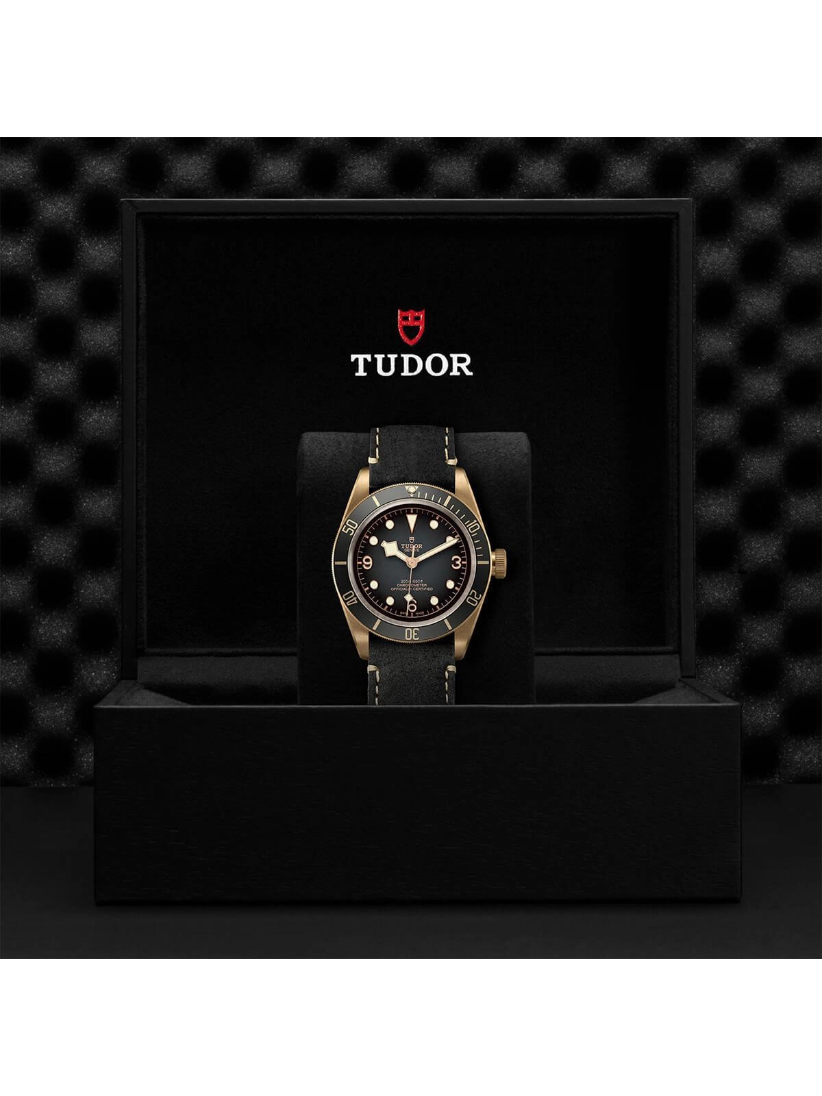 TUDOR Black Bay Bronze Watch 43mm M79250BA-0001