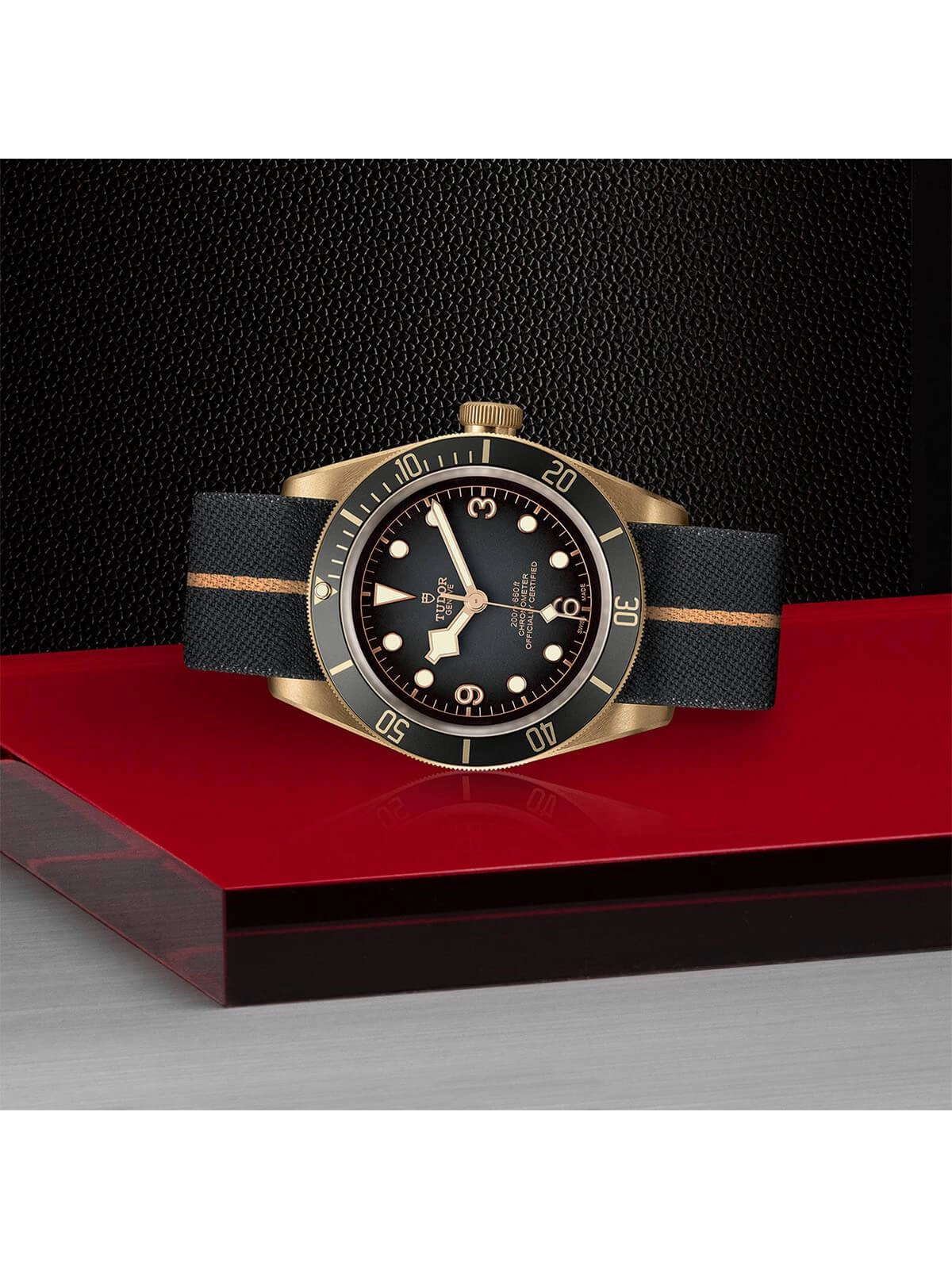 TUDOR Black Bay Bronze Watch 43mm M79250BA-0002