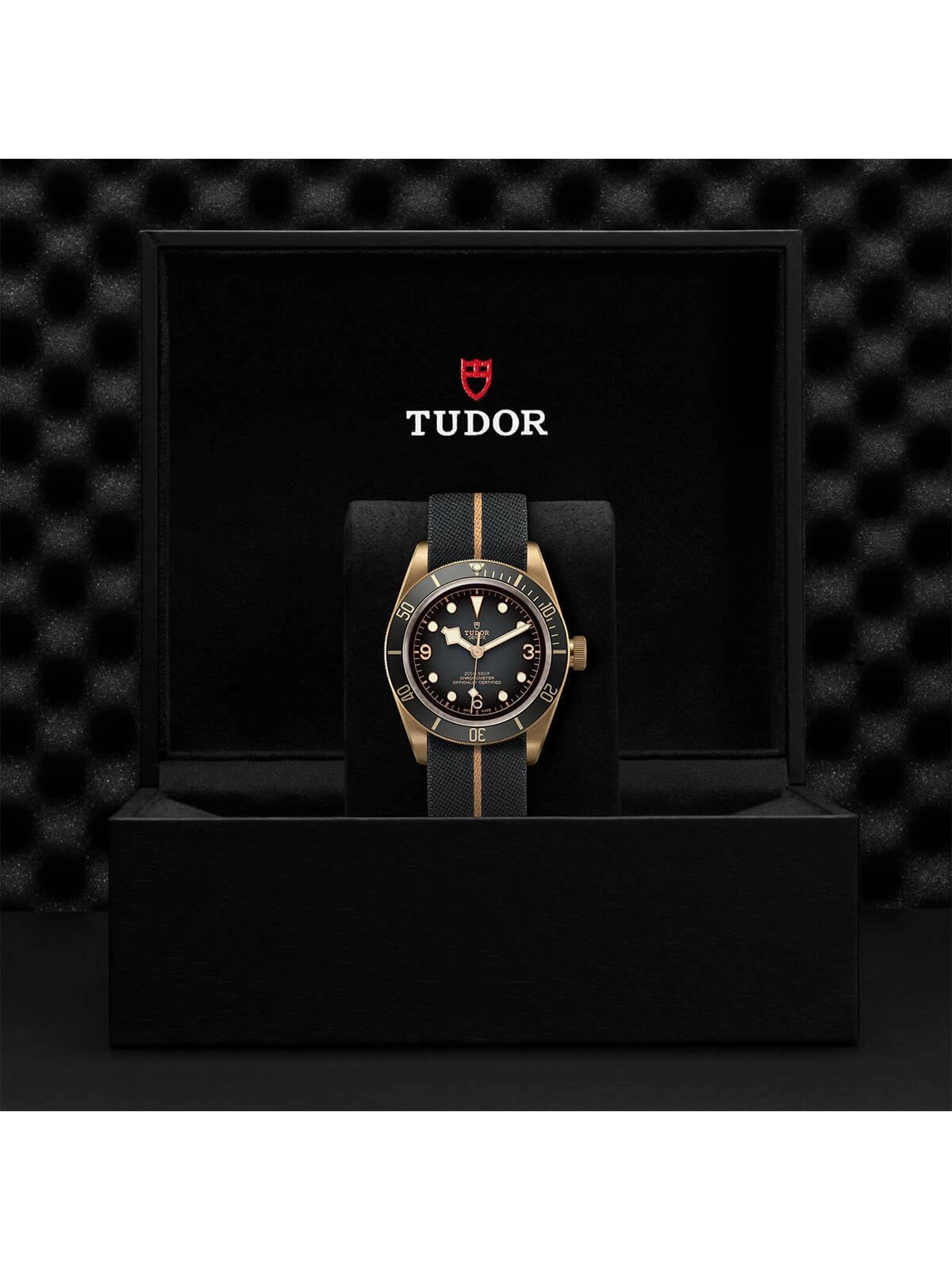 TUDOR Black Bay Bronze Watch 43mm M79250BA-0002