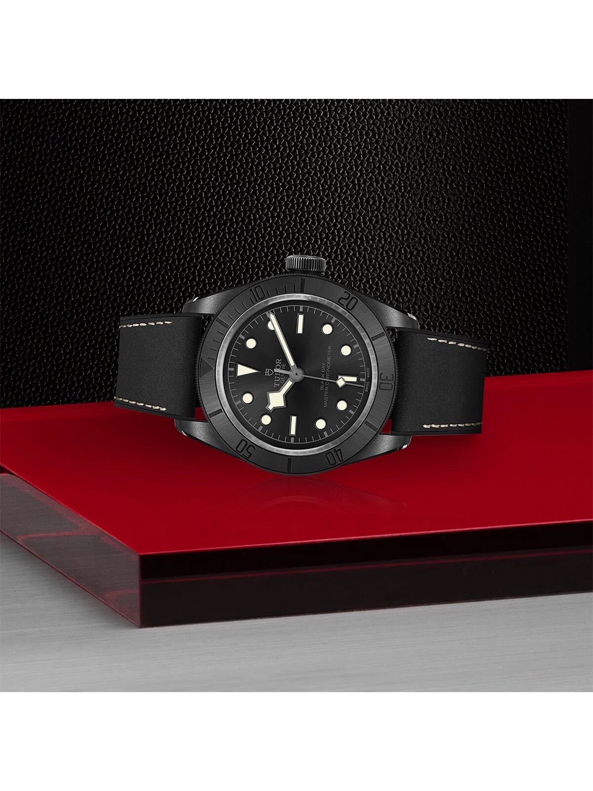TUDOR Black Bay Ceramic Watch 41mm M79210CNU-0001