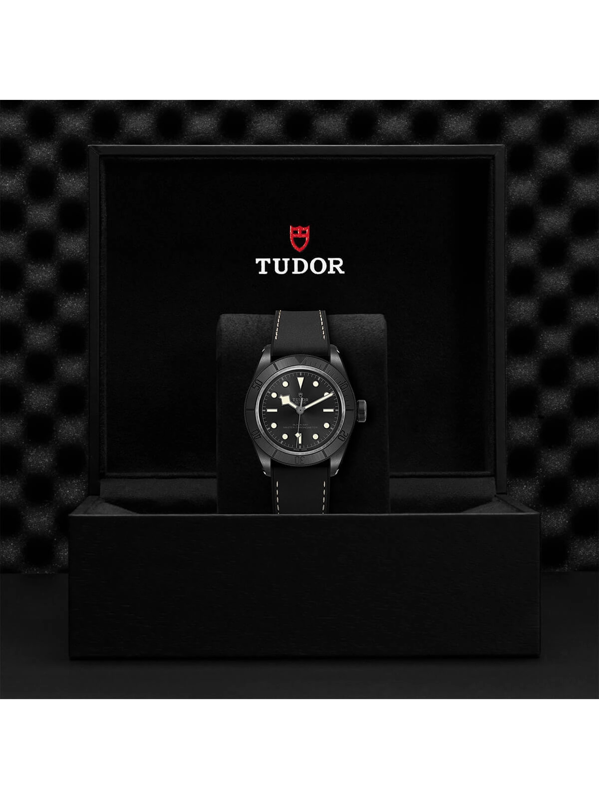 TUDOR Black Bay Ceramic Watch 41mm M79210CNU-0001