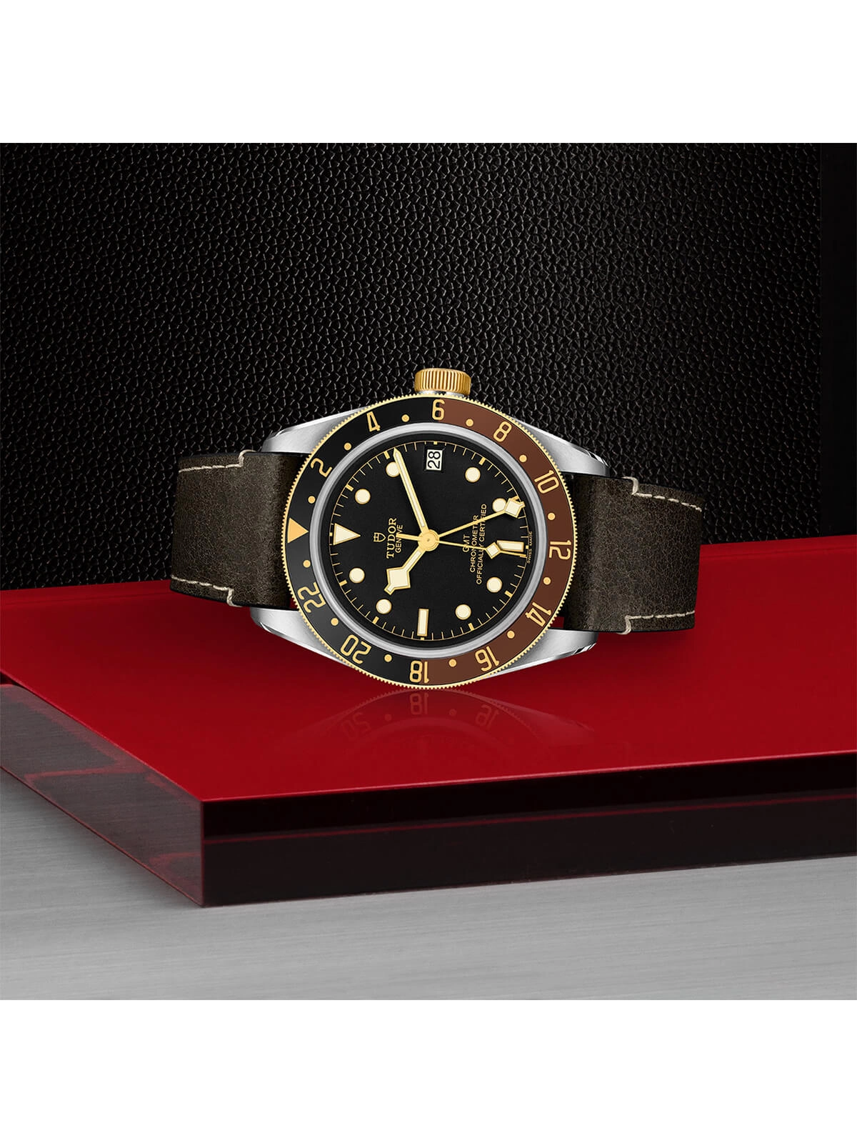 TUDOR Black Bay GMT S&G Watch 41mm M79833MN-0003