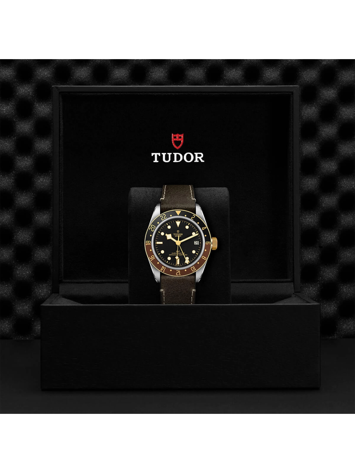 TUDOR Black Bay GMT S&G Watch 41mm M79833MN-0003