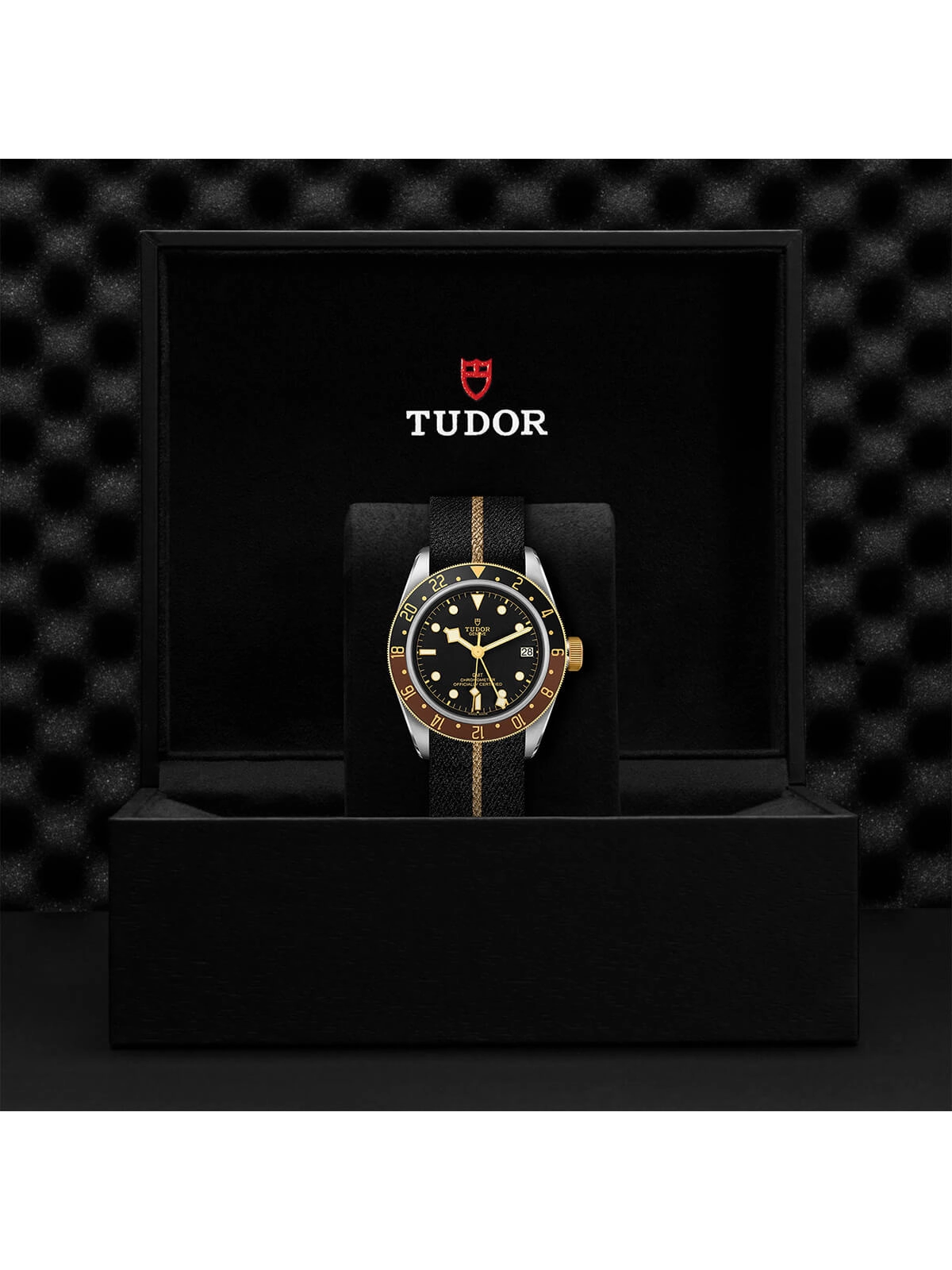 TUDOR Black Bay GMT S&G Watch 41mm M79833MN-0004