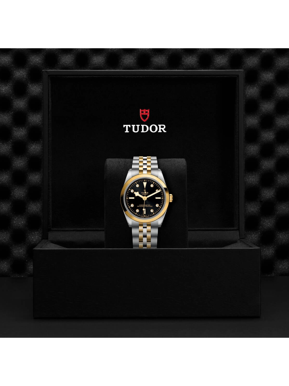 TUDOR Black Bay One S&G Watch 36mm M79643-0006
