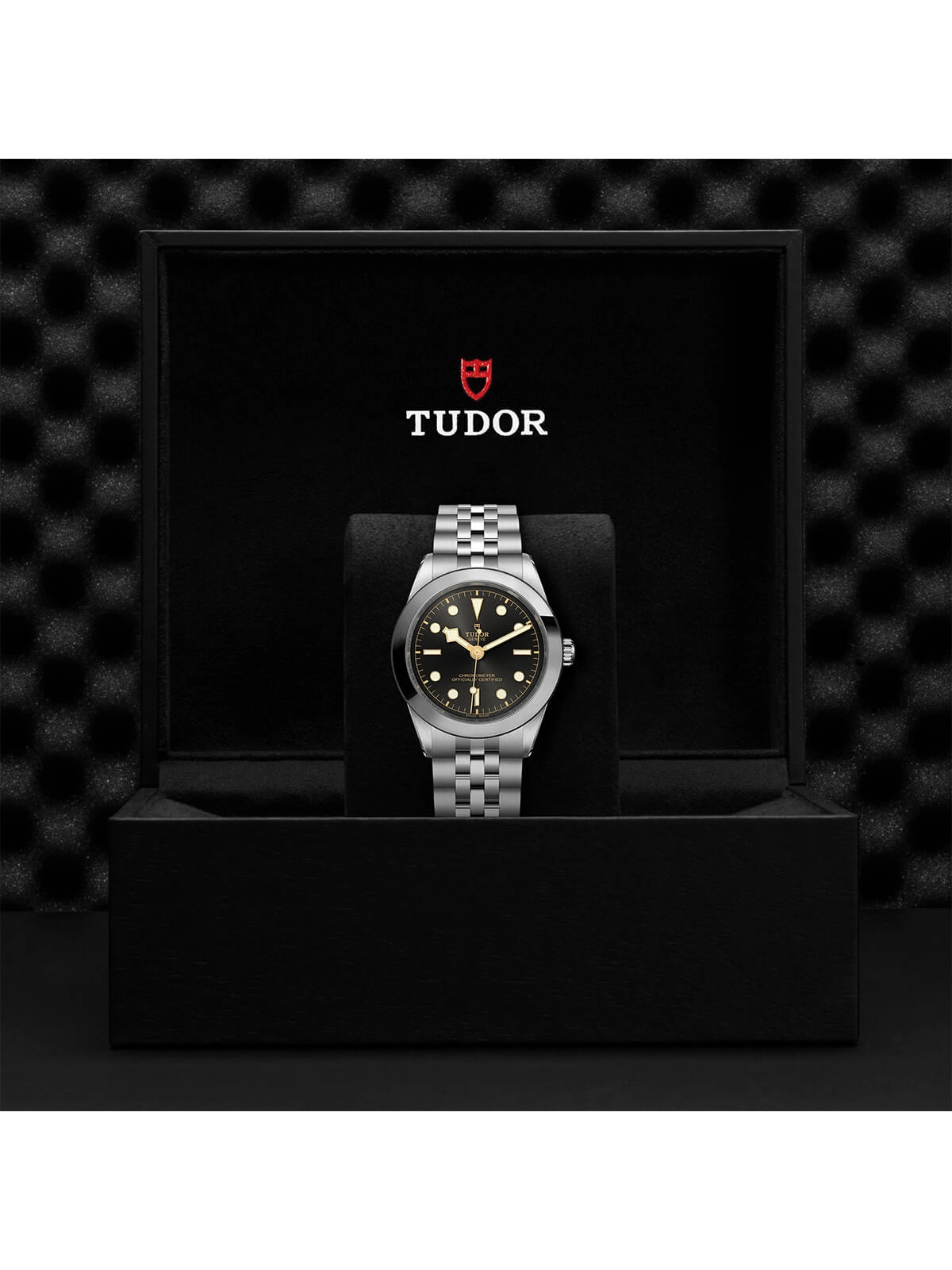TUDOR Black Bay One Watch 39mm M79660-0001