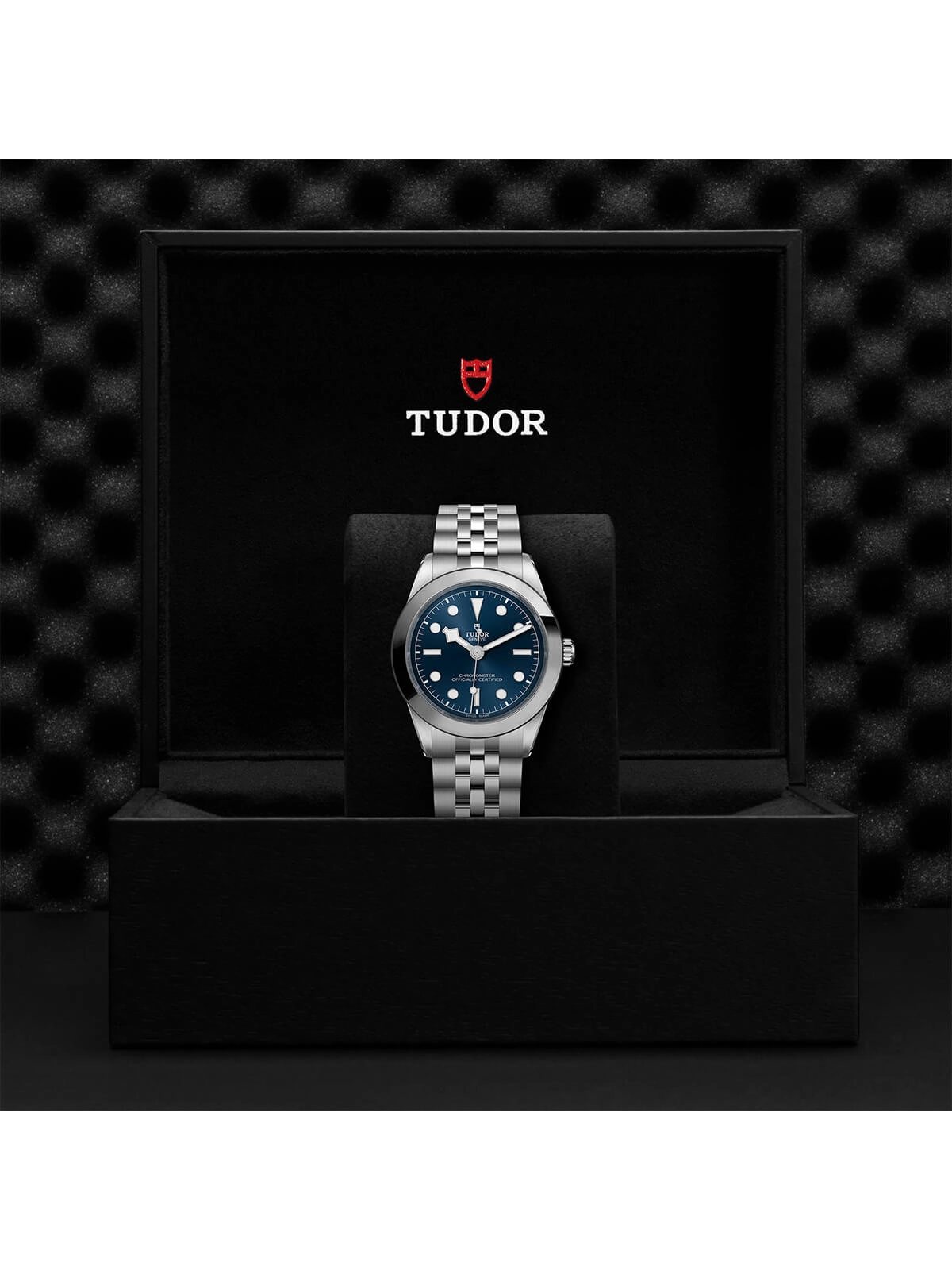 TUDOR Black Bay One Watch 39mm M79660-0002