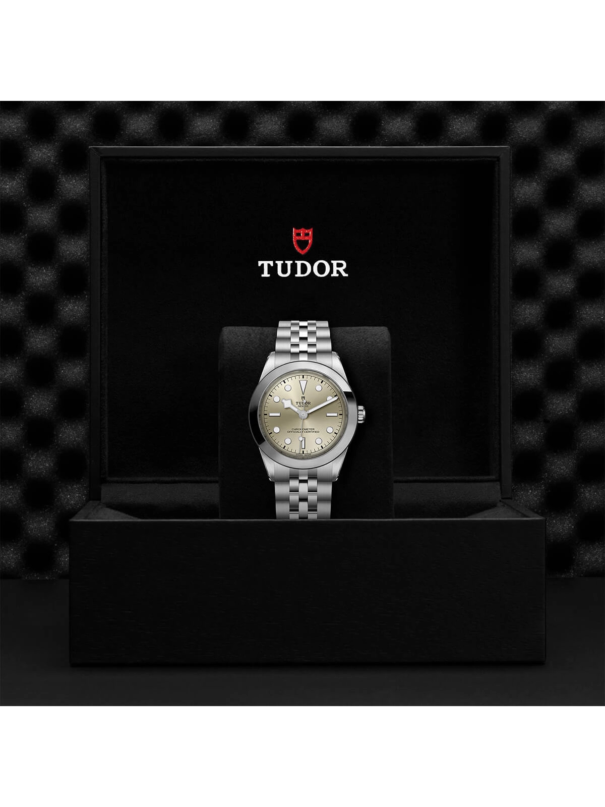 TUDOR Black Bay One Watch 39mm M79660-0003
