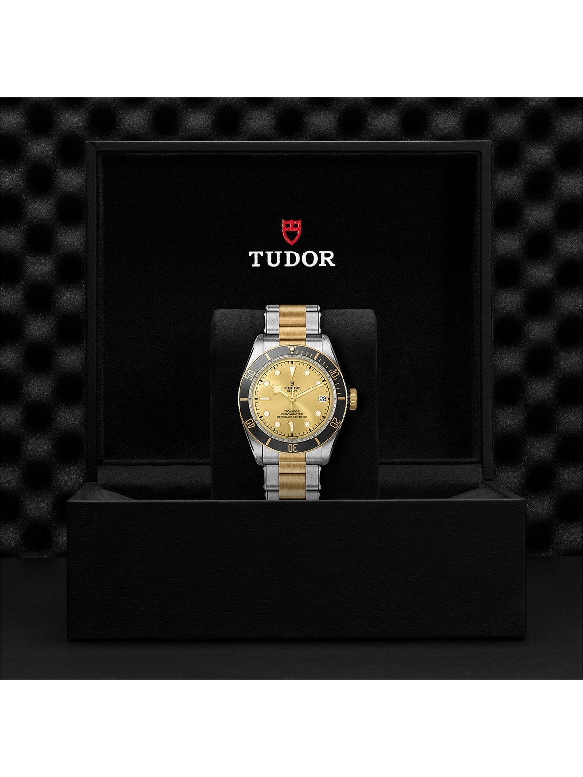 TUDOR Black Bay S&G Watch 41mm M79733N-0004