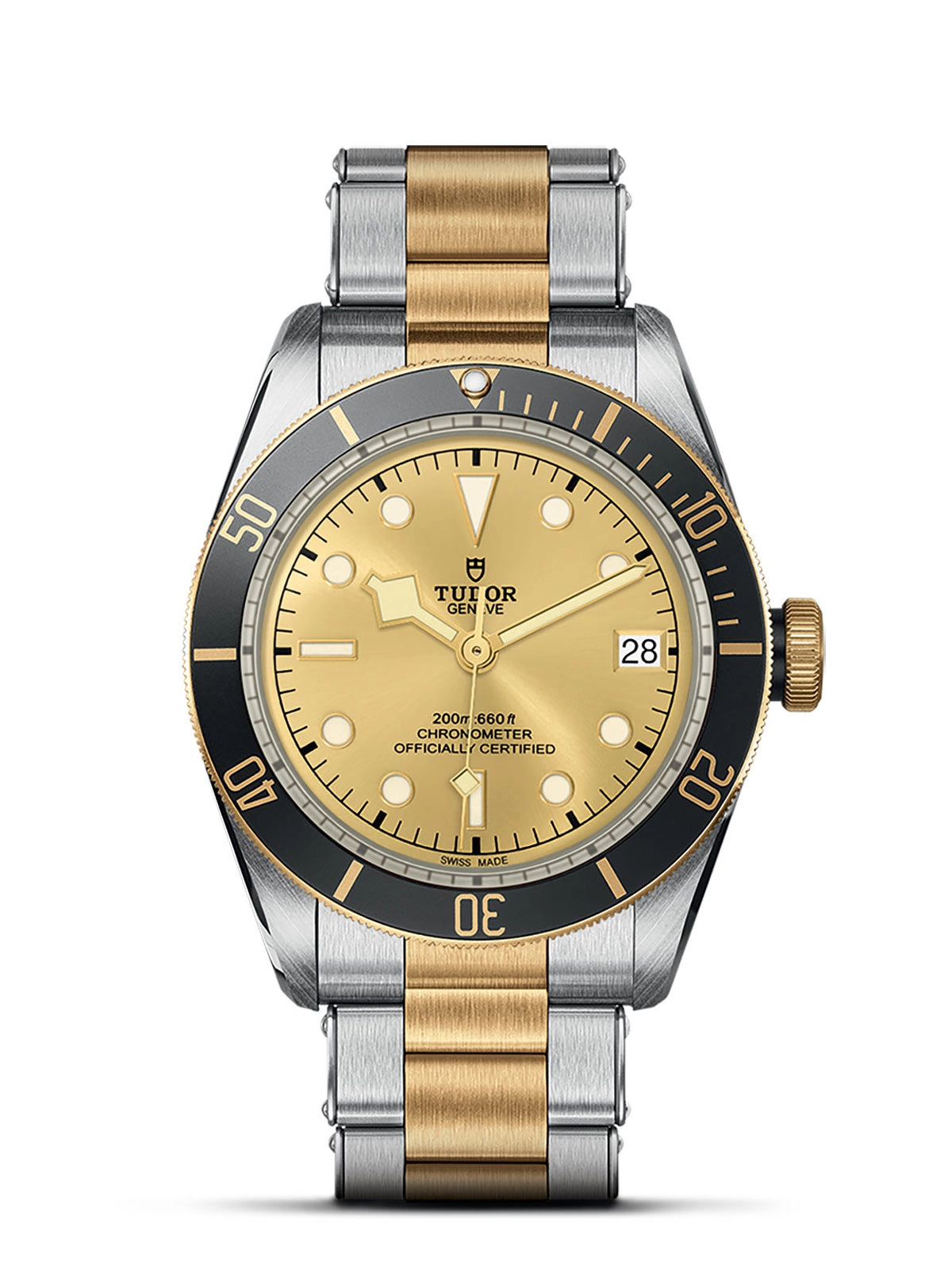 TUDOR Black Bay S&G Watch 41mm M79733N-0004