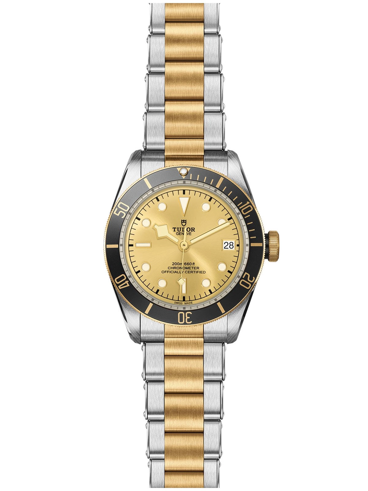 TUDOR Black Bay S&G Watch 41mm M79733N-0004