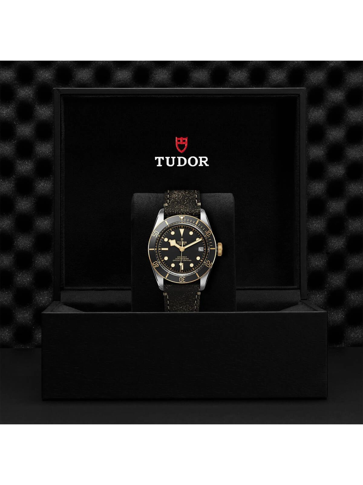 TUDOR Black Bay S&G Watch 41mm M79733N-0007