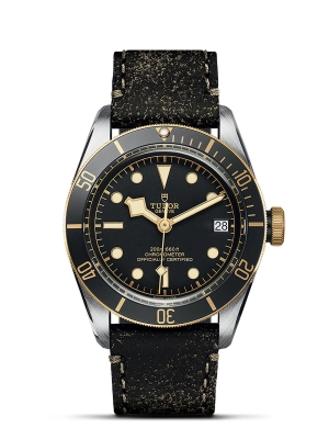 TUDOR Black Bay S&G Watch 41mm M79733N-0007