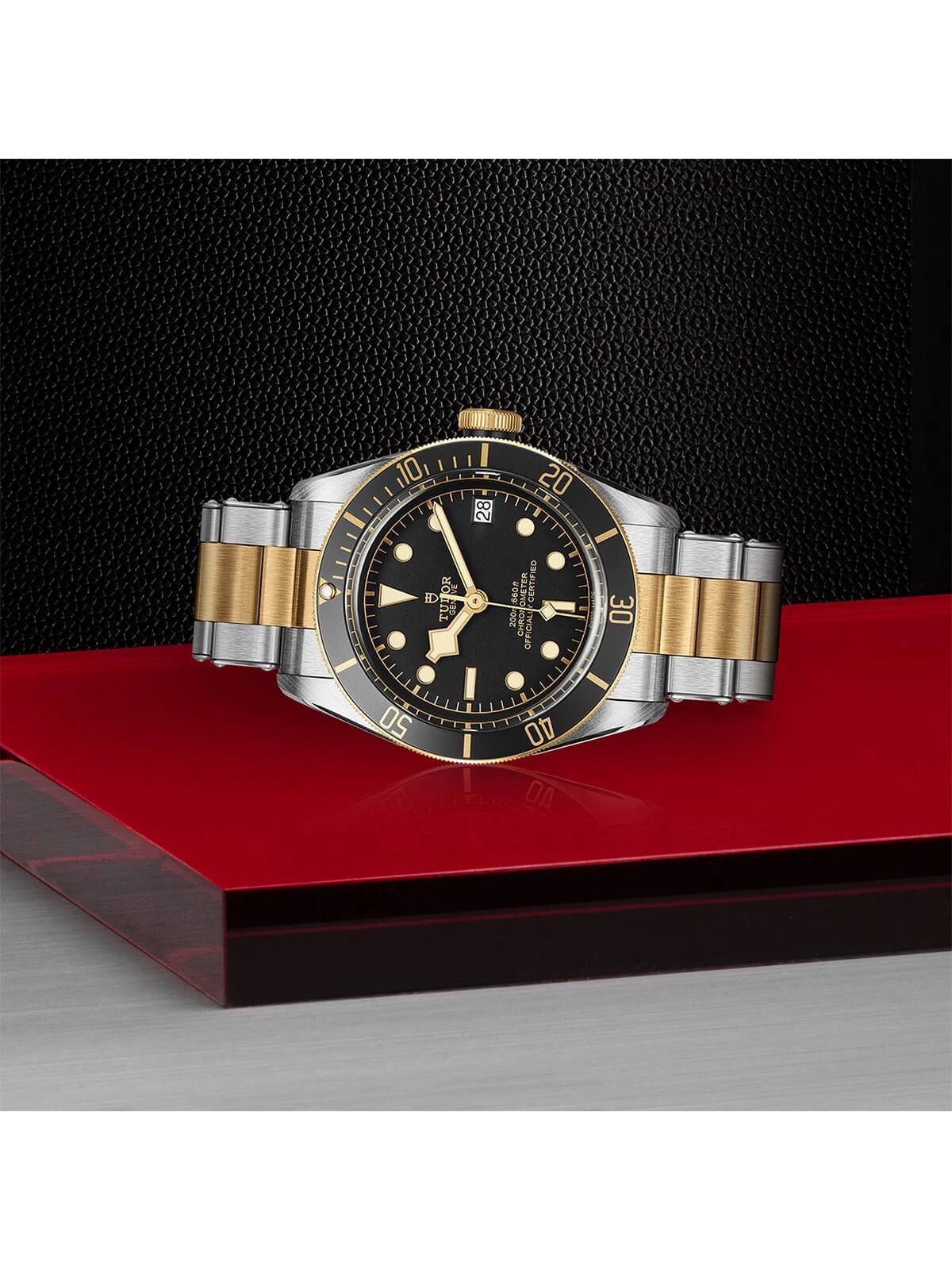 TUDOR Black Bay S&G Watch 41mm M79733N-0008