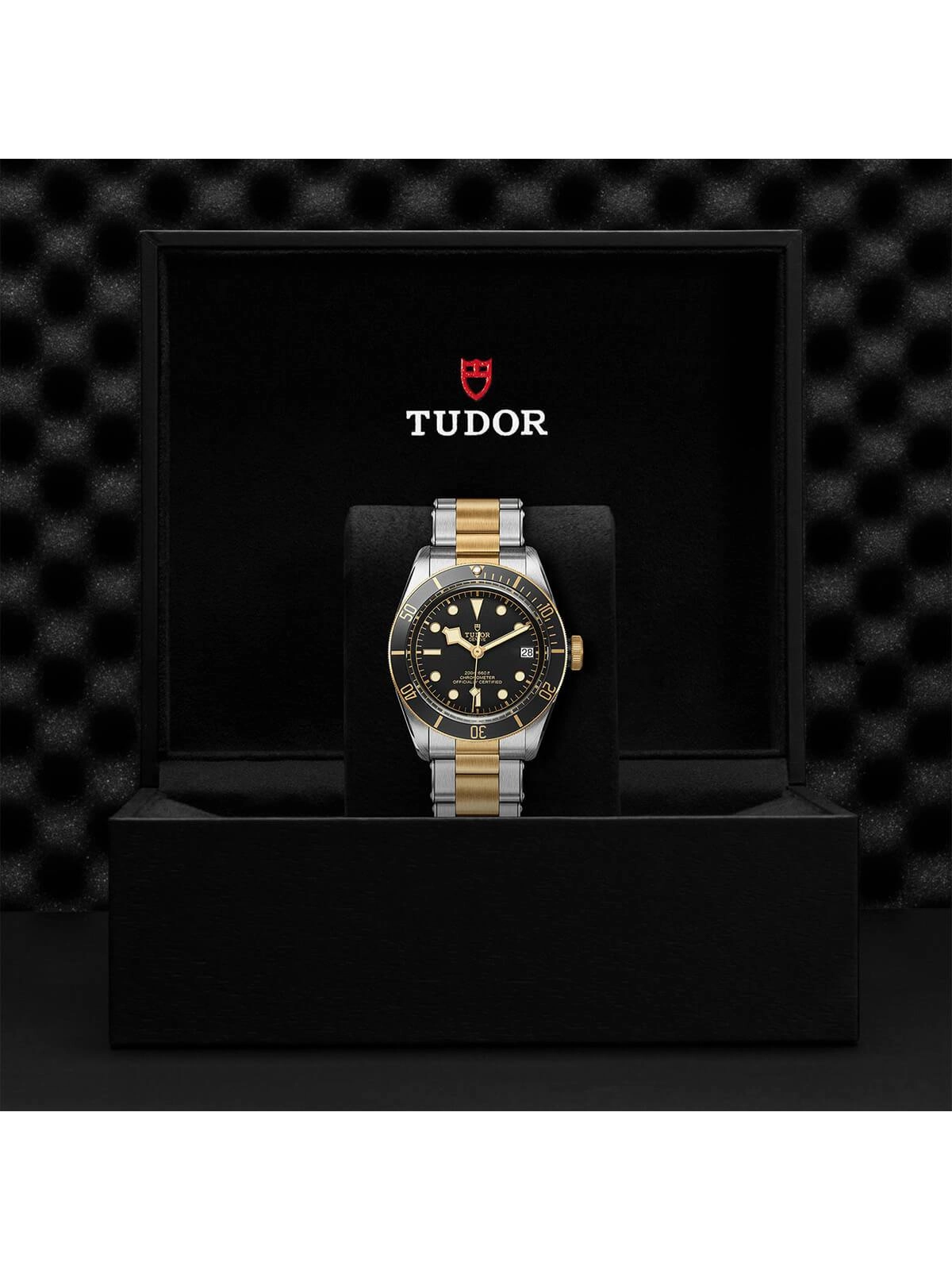 TUDOR Black Bay S&G Watch 41mm M79733N-0008