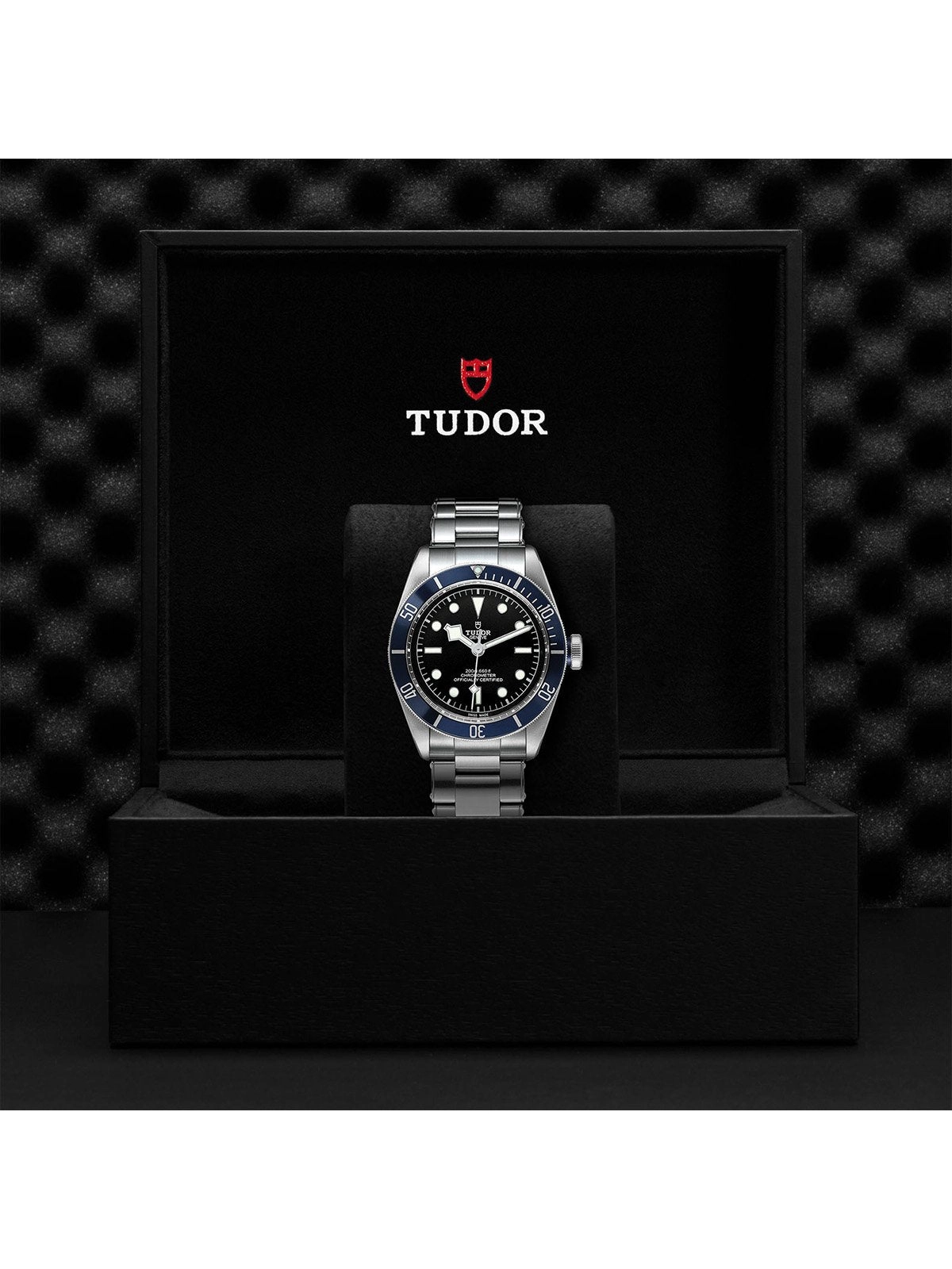 TUDOR Black Bay Watch 41mm M79230B-0008