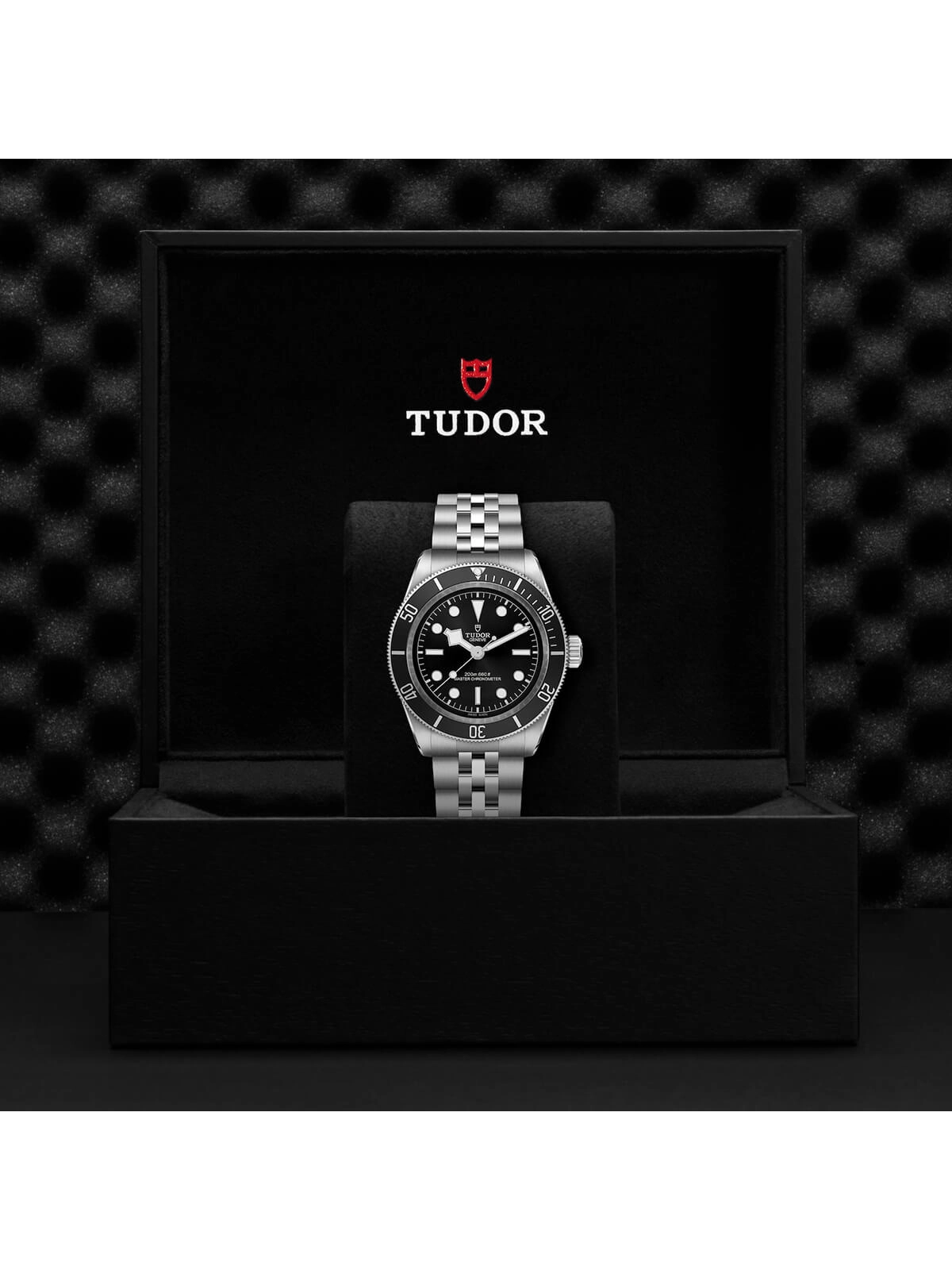 TUDOR Black Bay Watch 41mm M7941A1A0NU-0003