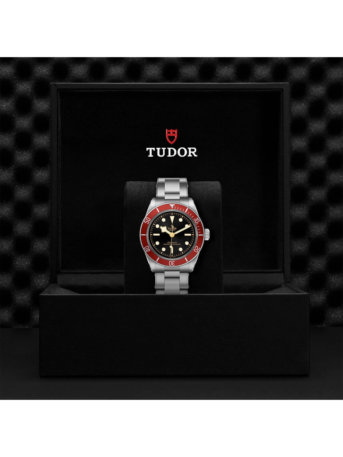 TUDOR Black Bay Watch 41mm M7941A1A0RU-0001