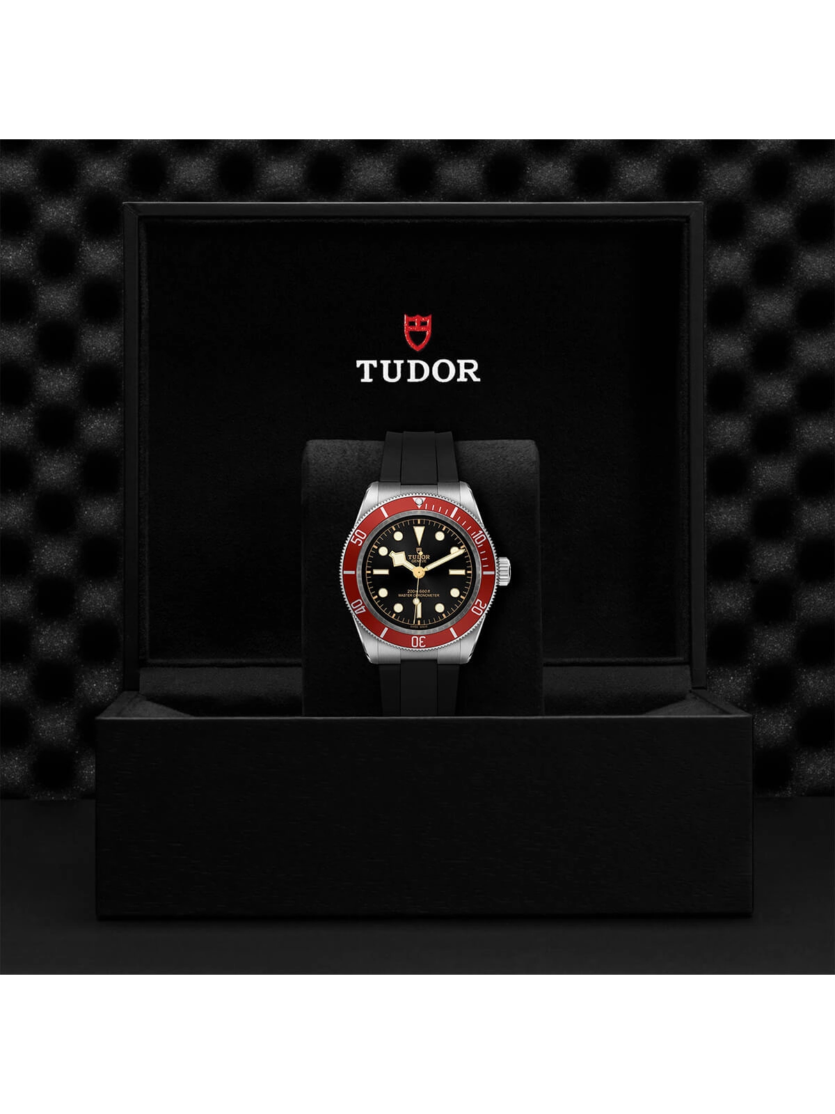 TUDOR Black Bay Watch 41mm M7941A1A0RU-0002