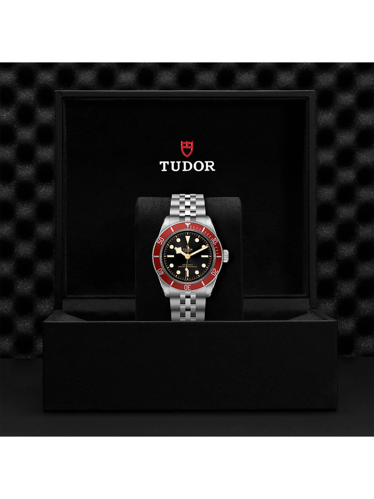 TUDOR Black Bay Watch 41mm M7941A1A0RU-0003