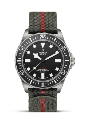TUDOR Pelagos FXD Watch 42mm M25717N-0001