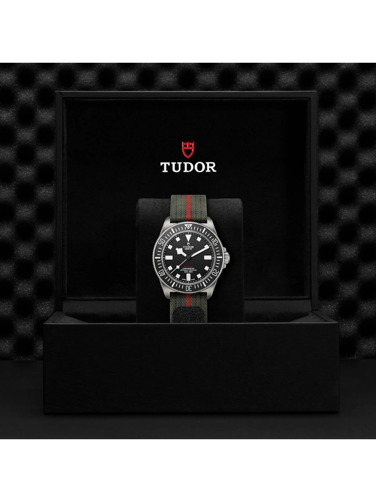 TUDOR Pelagos FXD Watch 42mm M25717N-0001