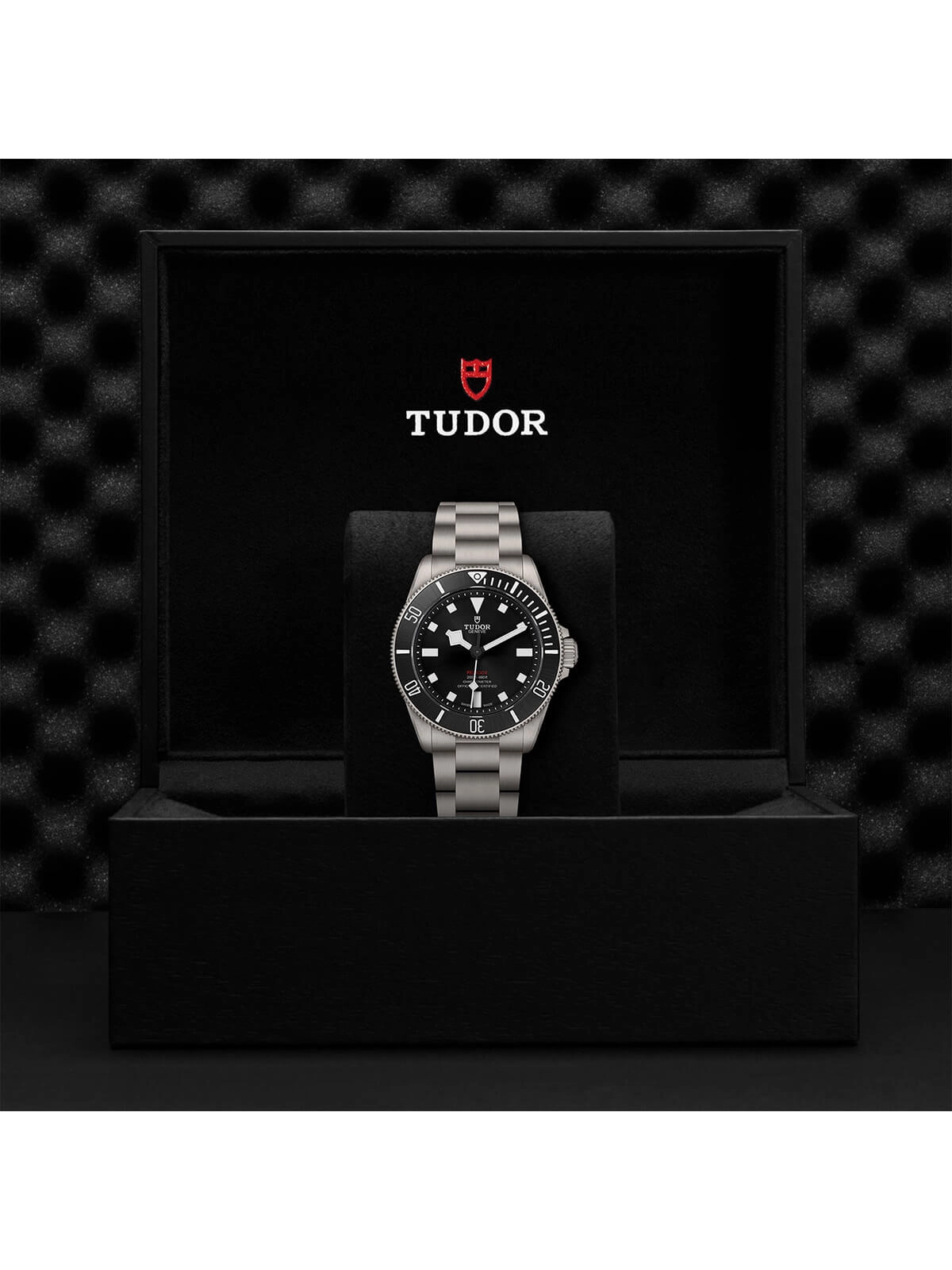 TUDOR Pelagos Watch 39mm M25407N-0001