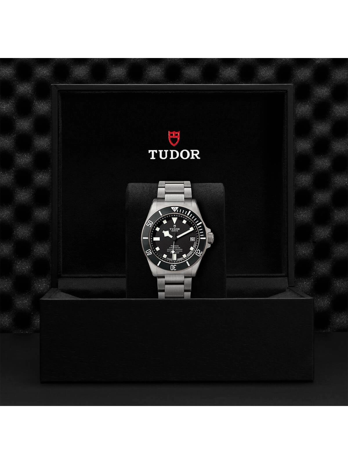 TUDOR Pelagos Watch 42mm M25600TN-0001